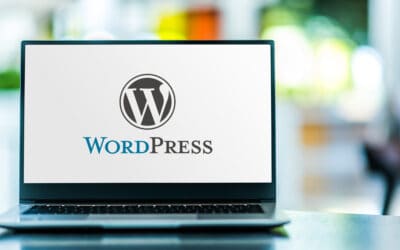 The Best SEO-Friendly WordPress Themes for Free in 2024